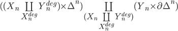  ((X_n \coprod_{X_n^{deg}} Y_n^{deg}) \times \Delta^n) \coprod_{(X_n \coprod_{X_n^{deg}} Y_n^{deg})} (Y_n \times \partial\Delta^n)